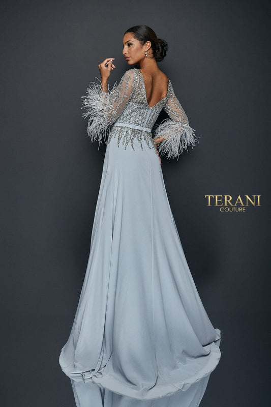 Chiffon Skirt Gown With Feather Accented Sleeves - 1921M0473